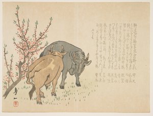 Ochsen, Januar 1853 von Yoshimura Kiitsu